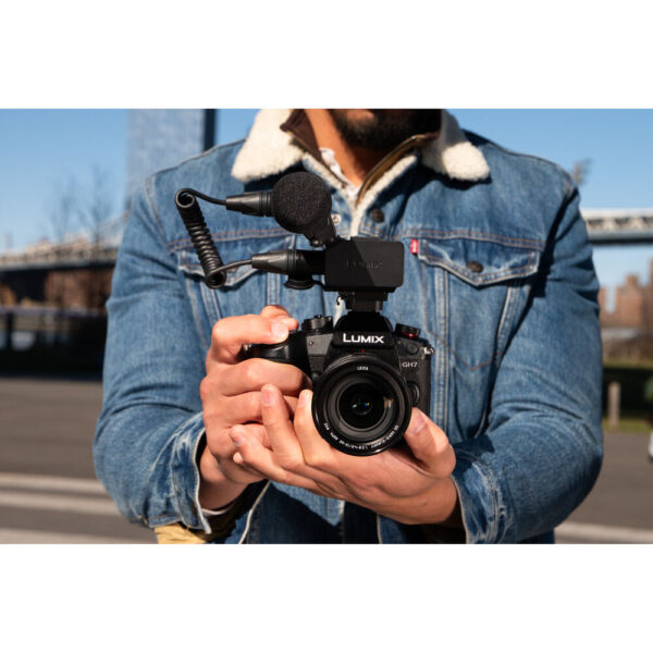 Panasonic Lumix GH7 Mirrorless Camera with 12-60mm f/2.8-4 Lens Kit - Image 4